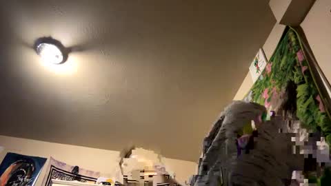 digbickjay42099 online show from December 2024 11:07:02 AM