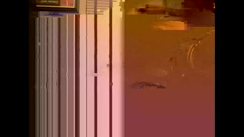 dildosnme22 online show from January 2025 11:08:02 AM