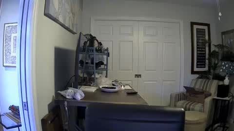 DirtkPitt Fun guy working online show from January 2025 06:40:02 PM