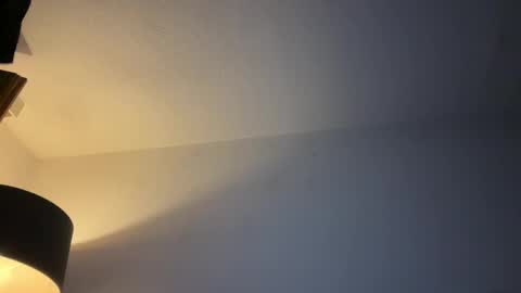 Jan online show from November 2025 01:49:01 AM