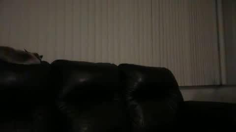 DJ Chaterbate online show from March 2026 06:36:01 AM