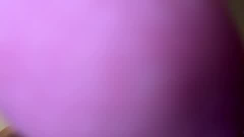 djacko681 online show from January 2025 05:09:01 PM