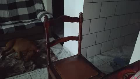 AmigodotadoZL online show from April 2026 08:06:01 PM