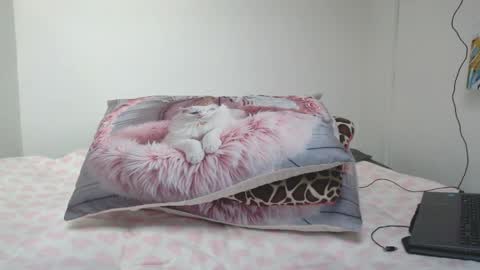 Dolcevainin online show from April 2026 12:36:02 PM