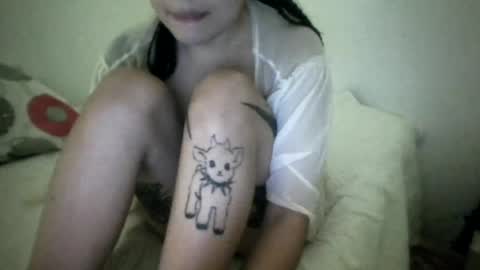 Snapshot of doll_dollys_ chatting on July 2026 01:56:01 AM doll_dollys_ online show from July 2026 01:56:01 AM