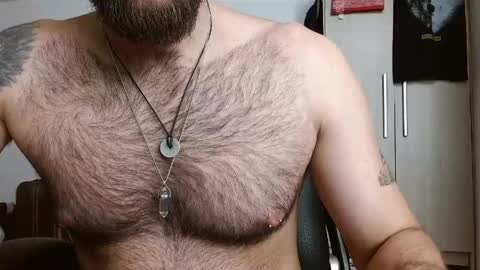Snapshot of dominantthewolf chatting on May 2026 05:10:02 PM Logan - INDEPENDET MODEL online show from May 2026 05:10:02 PM