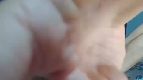 dominic_fox04 online show from December 2024 12:14:02 AM