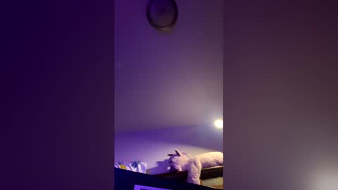 doodlez224472 online show from April 2026 01:56:02 PM