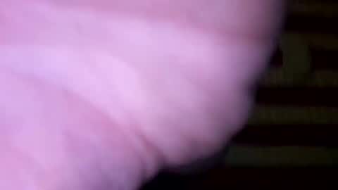 dougiebisme online show from May 2026 01:29:01 PM