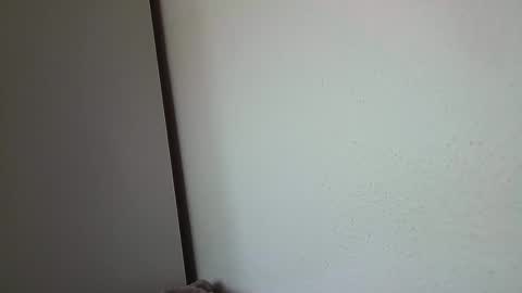 dreammaud333 online show from February 2025 01:27:01 PM