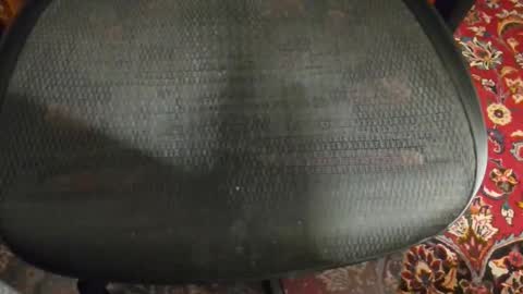 Snapshot of dudewipe chatting on February 2026 07:34:01 AM dudewipe online show from February 2026 07:34:01 AM