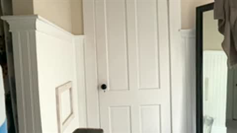 Dynasty online show from December 2025 06:25:02 PM