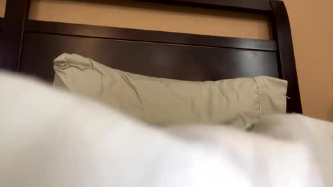 Snapshot of earl3232 chatting on February 2026 09:33:02 PM earl3232 online show from February 2026 09:33:02 PM