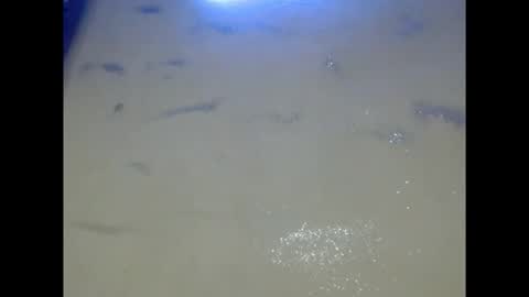 Snapshot of eatuupx chatting on December 2025 09:18:01 AM eatuupx online show from December 2025 09:18:01 AM