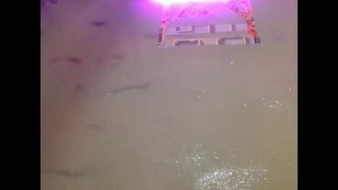 Snapshot of eatuupx chatting on December 2025 03:41:02 PM eatuupx online show from December 2025 03:41:02 PM