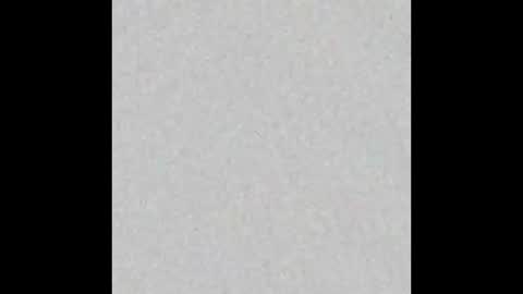 judy online show from January 2026 03:23:01 AM