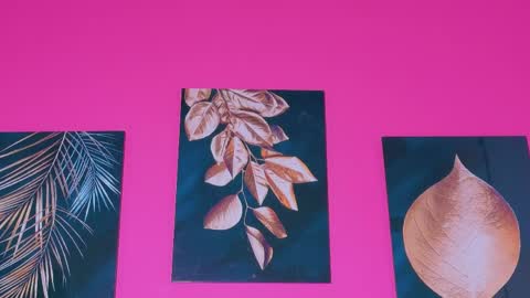 ebonyndsavage online show from April 2026 06:19:01 AM