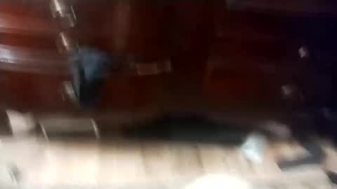 eboy4sale online show from March 2025 11:50:01 AM