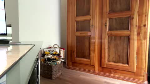 Edginghandjober online show from March 2026 09:13:01 AM