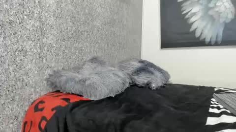 Snapshot of edi_stwix18 chatting on January 2026 03:39:02 PM edi_stwix18 online show from January 2026 03:39:02 PM