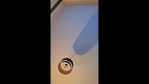 Snapshot of edinburgh79 chatting on April 2026 09:34:01 PM edinburgh79 online show from April 2026 09:34:01 PM