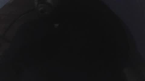 edu4394 online show from March 2026 02:37:01 AM