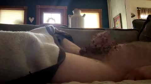 Snapshot of eightball2001 chatting on April 2026 01:56:01 PM eightball2001 online show from April 2026 01:56:01 PM