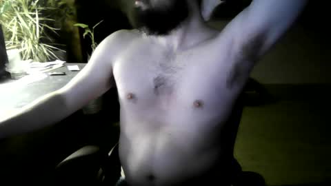 fox online show from April 2026 04:44:02 AM