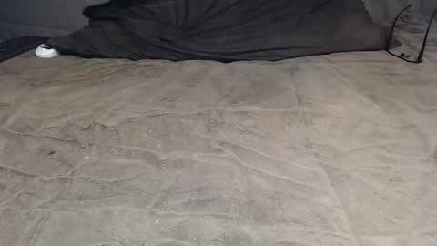 elgsslt online show from April 2026 09:53:01 AM