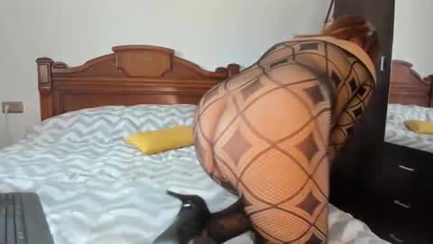 Snapshot of elif__girasol chatting on February 2026 11:52:01 AM elifgirasol online show from February 2026 11:52:01 AM