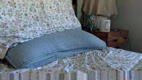 elviscash online show from April 2026 01:16:01 PM