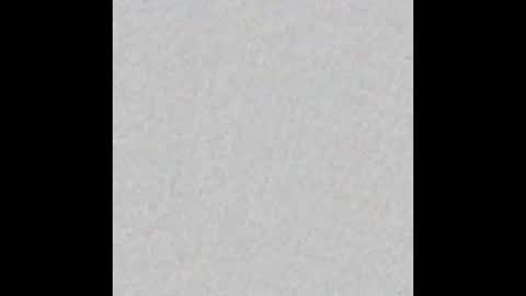 englisharabcock online show from September 2025 06:07:01 PM