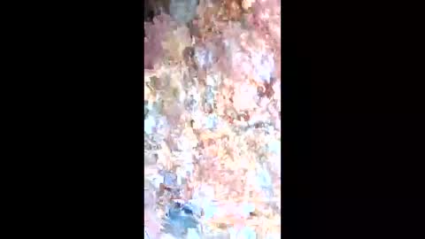 Snapshot of esteralcantara chatting on February 2026 05:50:01 PM esteralcantara online show from February 2026 05:50:01 PM