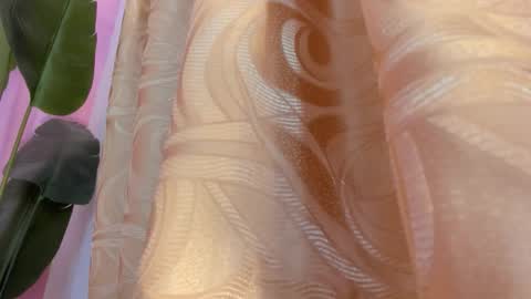 evelyn__rose1 online show from March 2026 02:04:02 AM