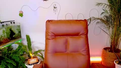 Im Eve or Chelle Next Stream 191224  online show from May 2026 11:42:01 PM