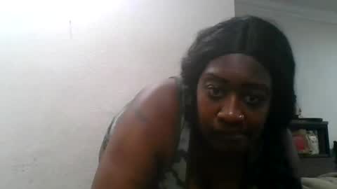 exoticchocolate6955 online show from February 2025 10:07:02 AM