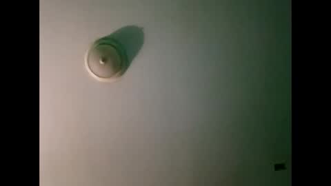 experttreecompany online show from March 2026 10:31:02 AM