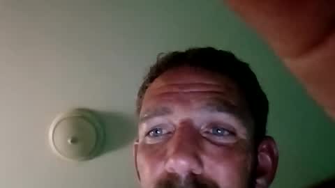 experttreecompany online show from March 2026 05:52:02 AM