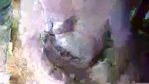 Snapshot of expogent chatting on April 2026 07:24:02 AM expogent online show from April 2026 07:24:02 AM