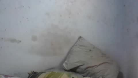Faux Feitico online show from April 2026 04:48:01 PM