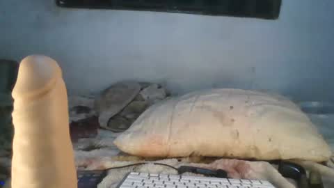 Faux Feitico online show from May 2026 12:50:02 AM