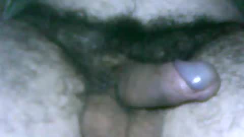 fer_2197 online show from January 2025 11:36:02 AM