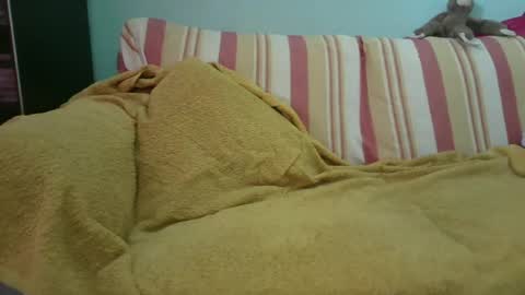 Fernando online show from July 2026 03:52:02 PM