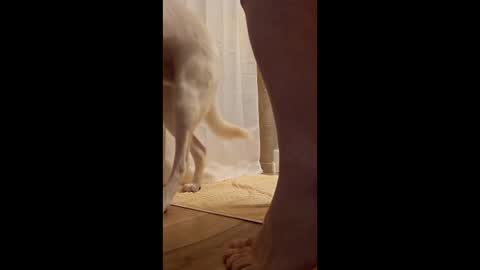 fetishdad863 online show from April 2026 01:58:02 PM