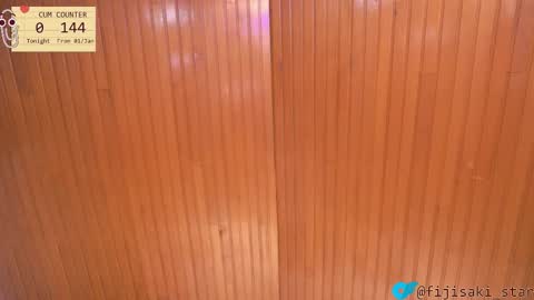 Snapshot of fijisakistar chatting on October 2025 03:19:01 AM Fijisaki Soni online show from October 2025 03:19:01 AM