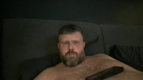 fin bear dom online show from July 2026 10:58:02 PM