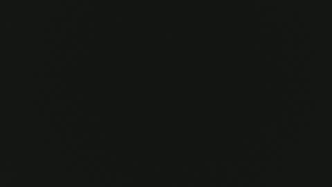 F I O R E L L A  online show from April 2026 02:16:02 PM