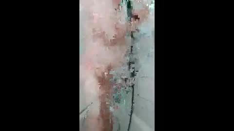 fips1981 online show from April 2026 10:30:02 AM