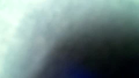 flash online show from February 2026 02:53:01 AM