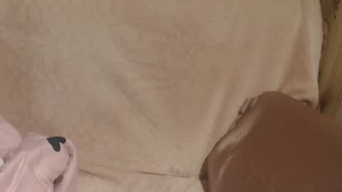 say meow and send tip  online show from March 2026 06:33:01 PM